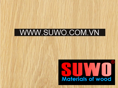Veneer gỗ sồi - Gỗ SUWO - Công Ty TNHH SUWO